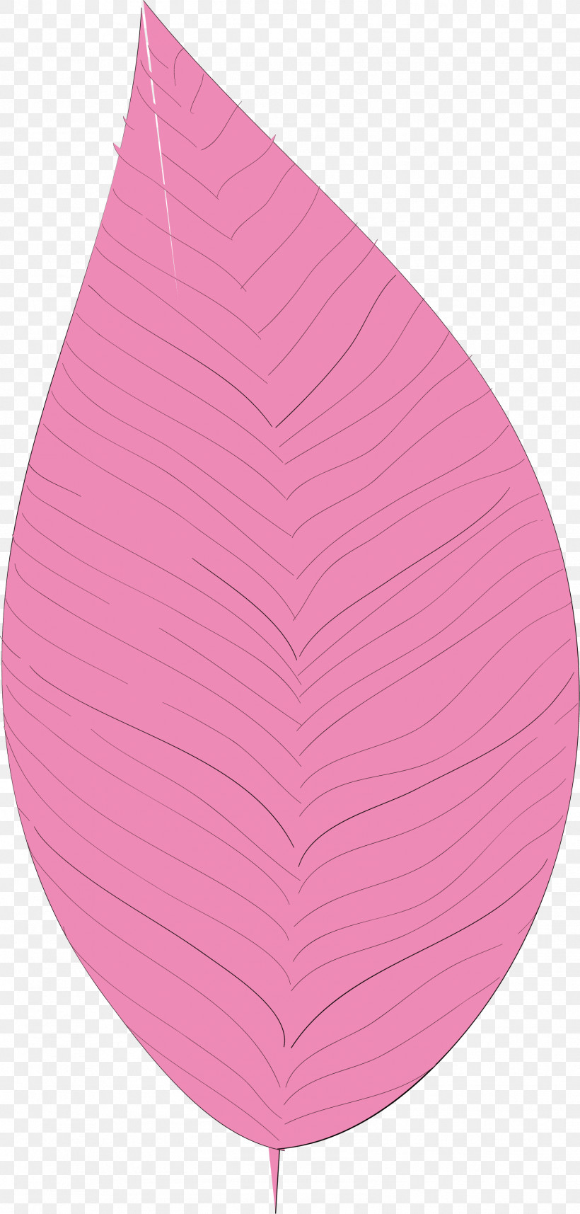 Simple Leaf Simple Leaf Drawing Simple Leaf Outline, PNG, 1574x3292px, Simple Leaf, Biology, Leaf, Pink M, Plant Structure Download Free