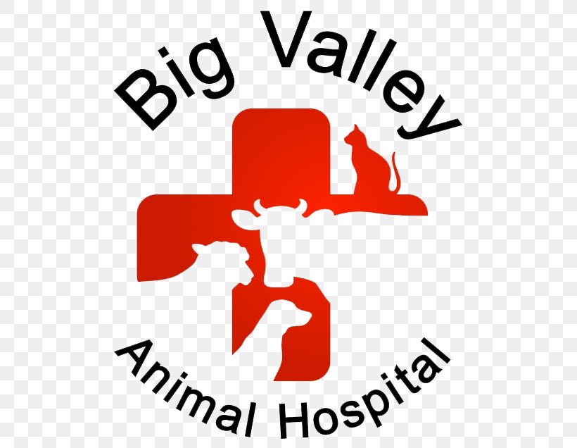 T-shirt Altavins Viticultors Birthday Big Valley Animal Hospital Gift, PNG, 525x636px, Tshirt, Area, Artwork, Birthday, Brand Download Free