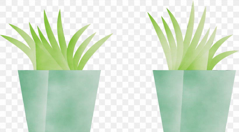 Flowerpot Houseplant Grasses, PNG, 3000x1657px, Watercolor, Flowerpot, Grasses, Houseplant, Paint Download Free