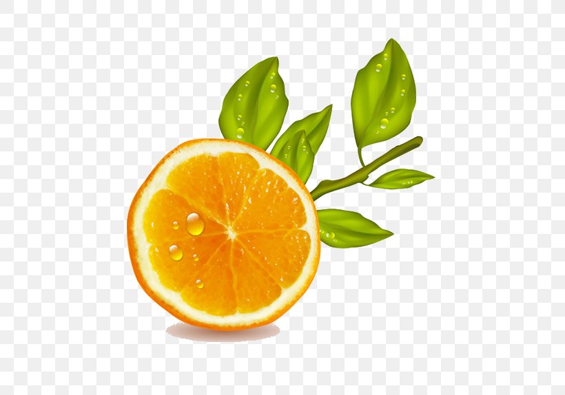 Orange Juice Lemon Fruit, PNG, 650x574px, Juice, Bitter Orange, Citric Acid, Citrus, Food Download Free