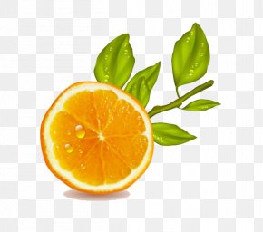 Orange - Orange Juice Lemon Fruit PNG