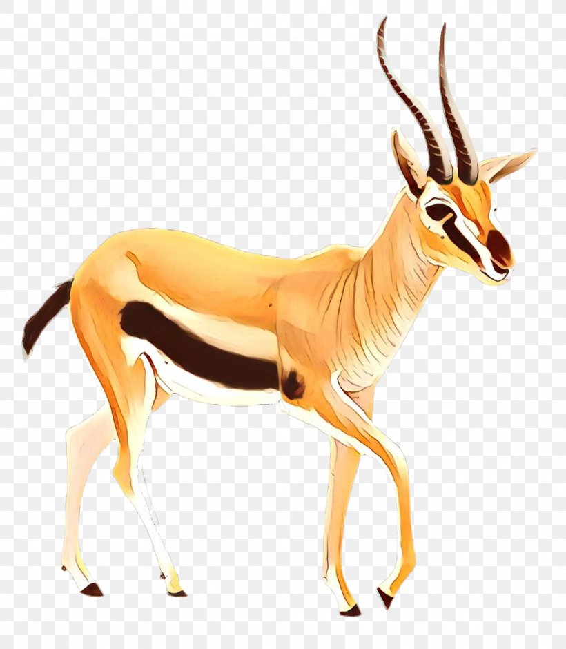 Springbok Impala Gazelle Deer Fauna, PNG, 1024x1174px, Springbok, Animal,  Animal Figure, Antelope, Chamois Download Free