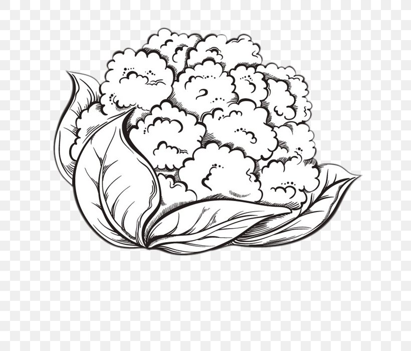 Cauliflower Cheese Broccoli Drawing, PNG, 700x700px, Watercolor, Cartoon,  Flower, Frame, Heart Download Free