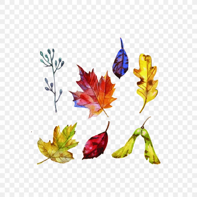 Euclidean Vector Painting Download, PNG, 2362x2362px, Watercolor Painting, Art, Autumn, Branch, Flora Download Free