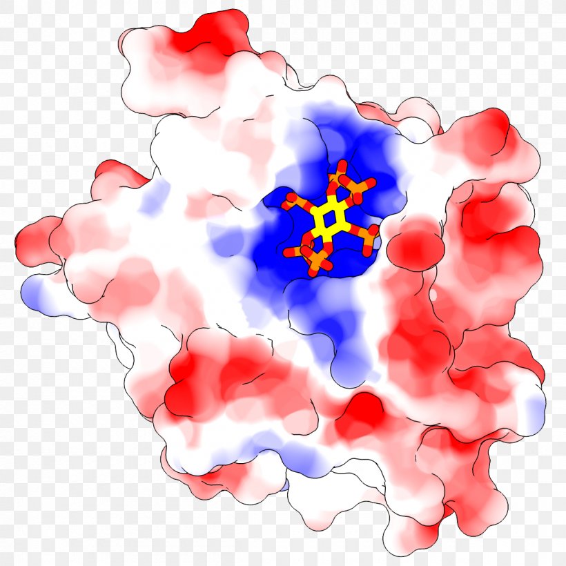 UCSF Chimera Electrostatics Protein Folding Electric Potential Ramachandran Plot, PNG, 1200x1200px, Ucsf Chimera, Atom, Atomic Force Microscopy, Blast, Chemical Property Download Free