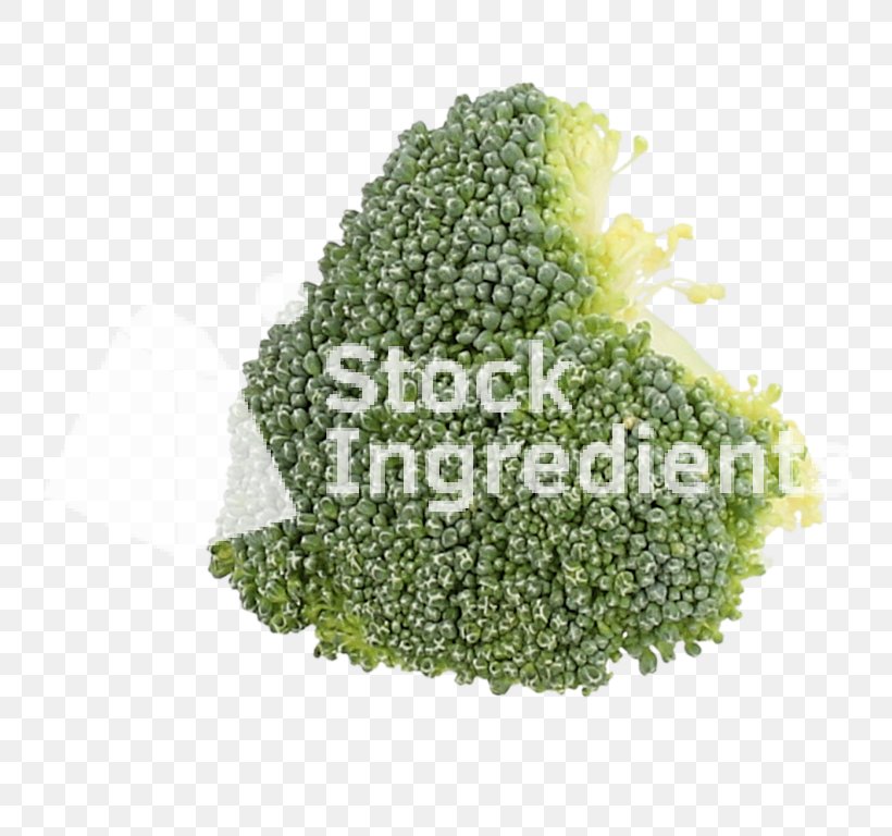Broccoli, PNG, 768x768px, Broccoli, Leaf Vegetable, Superfood, Vegetable Download Free