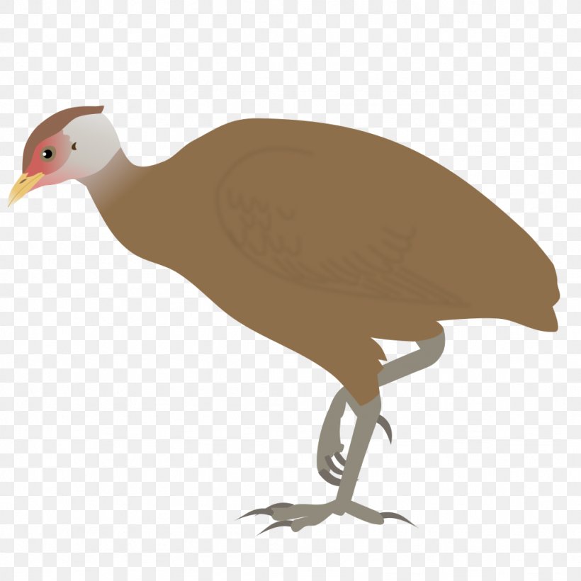 Great Nicobar Island Bird Great Nicobar Biosphere Reserve Nicobar Megapode Vanuatu Megapode, PNG, 1024x1024px, Bird, Beak, Crane Like Bird, Ducks Geese And Swans, Fauna Download Free