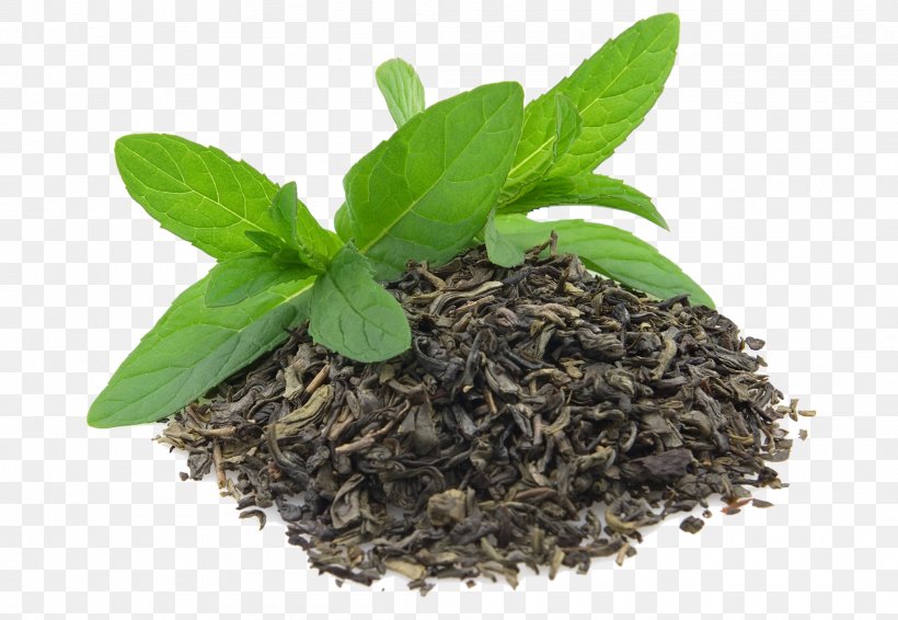 Green Tea Matcha Flowering Tea Oolong, PNG, 2085x1440px, Tea, Black Tea, Drink, Flowering Tea, Food Download Free