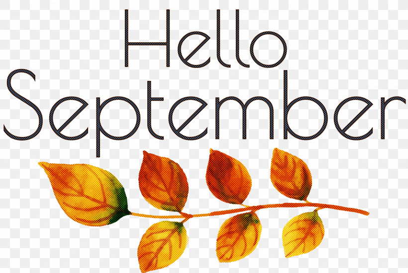 Hello September September, PNG, 3000x2015px, Hello September, Cut Flowers, Flower, Fruit, Leaf Download Free