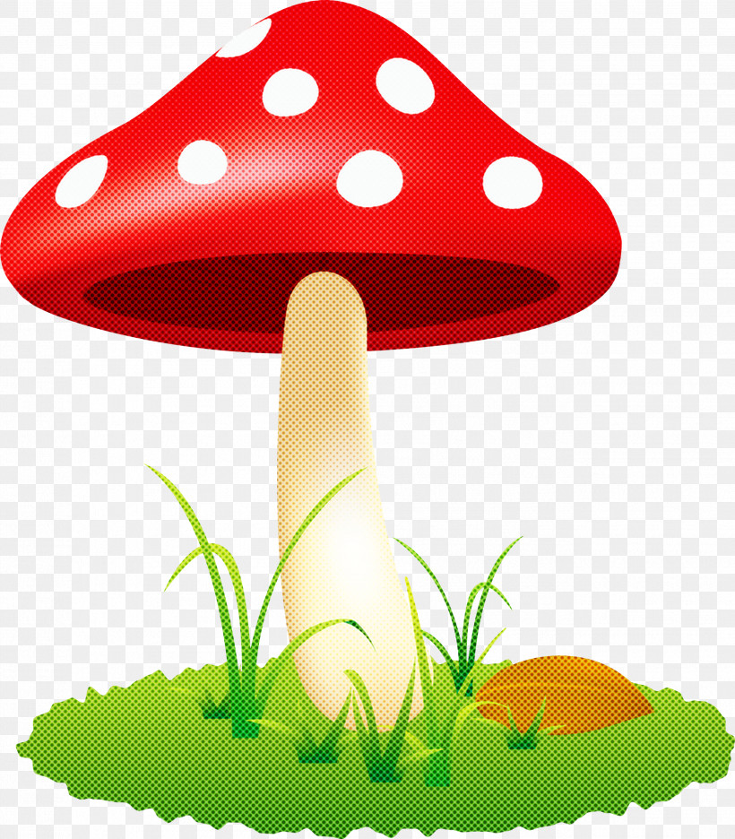 Mushroom, PNG, 2627x2999px, Mushroom, Agaric, Agaricomycetes, Aquarium Decor, Fungus Download Free