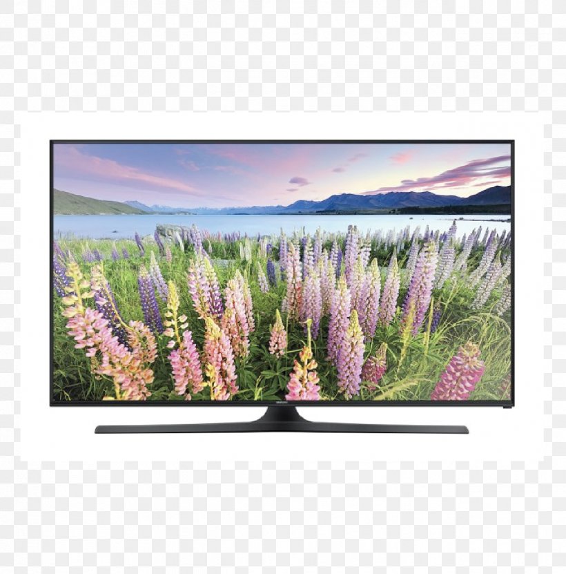 Samsung LED-backlit LCD Ultra-high-definition Television 1080p, PNG, 1273x1291px, 4k Resolution, Samsung, Flower, Grass, Grass Family Download Free