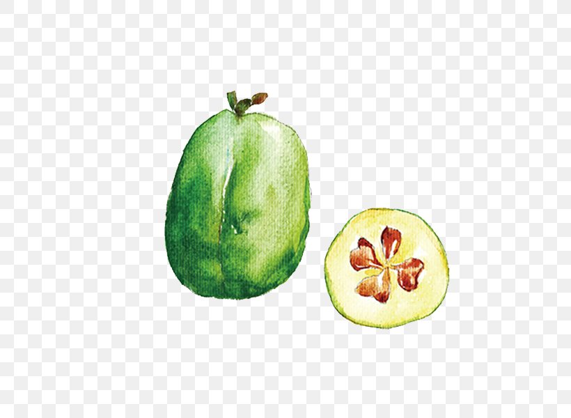 Cucumber Auglis Watercolor Painting Melon, PNG, 600x600px, Cucumber, Apple, Auglis, Avocado, Banana Download Free