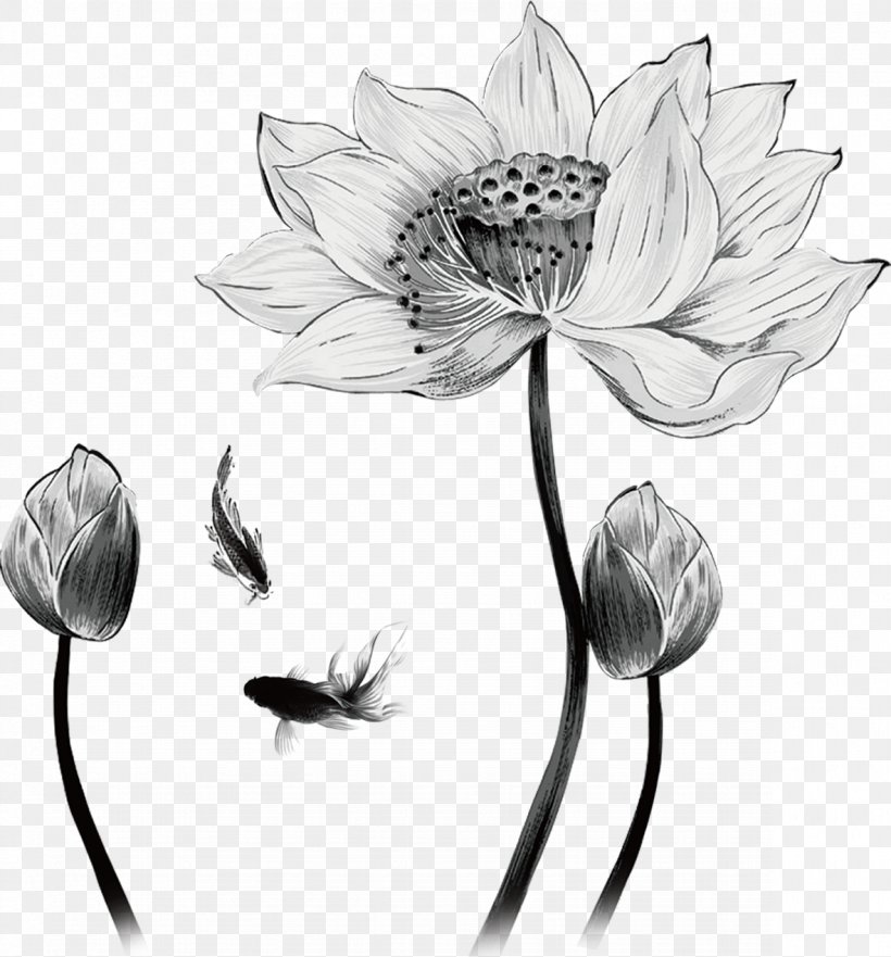 Drawing Nelumbo Nucifera, PNG, 1181x1269px, Drawing, Architecture, Art, Artwork, Black And White Download Free