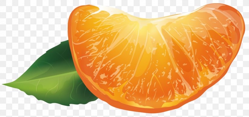 Clementine Blood Orange Rangpur, PNG, 1622x760px, Clementine, Bitter Orange, Blood Orange, Citric Acid, Citrus Download Free