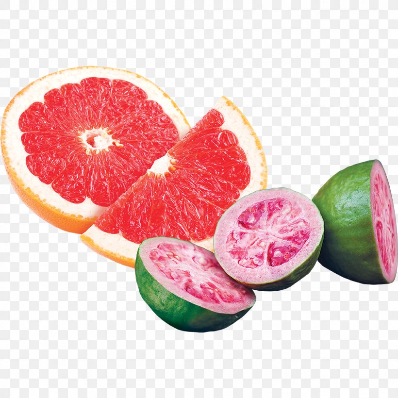 Ice Cream Grapefruit Sorbet Pomelo Common Guava, PNG, 1024x1024px, Ice Cream, Blood Orange, Citric Acid, Citrus, Common Guava Download Free