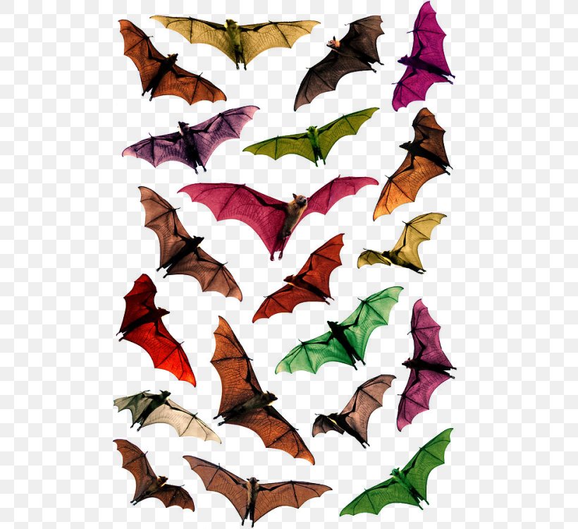 Megabat Bracken Cave Large Flying Fox, PNG, 500x750px, Bat, Alamy, Black Flying Fox, Bracken Cave, Flying Foxes Download Free