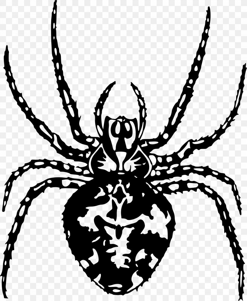 Spider Arthropod Clip Art, PNG, 1968x2400px, Spider, Arachnid, Arthropod, Artwork, Black And White Download Free