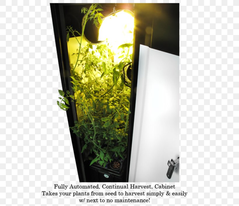 Grow Box Soil Garden Herb Flowerpot, PNG, 765x706px, Grow Box, Cabinetry, Fitness Centre, Flora, Flowerpot Download Free