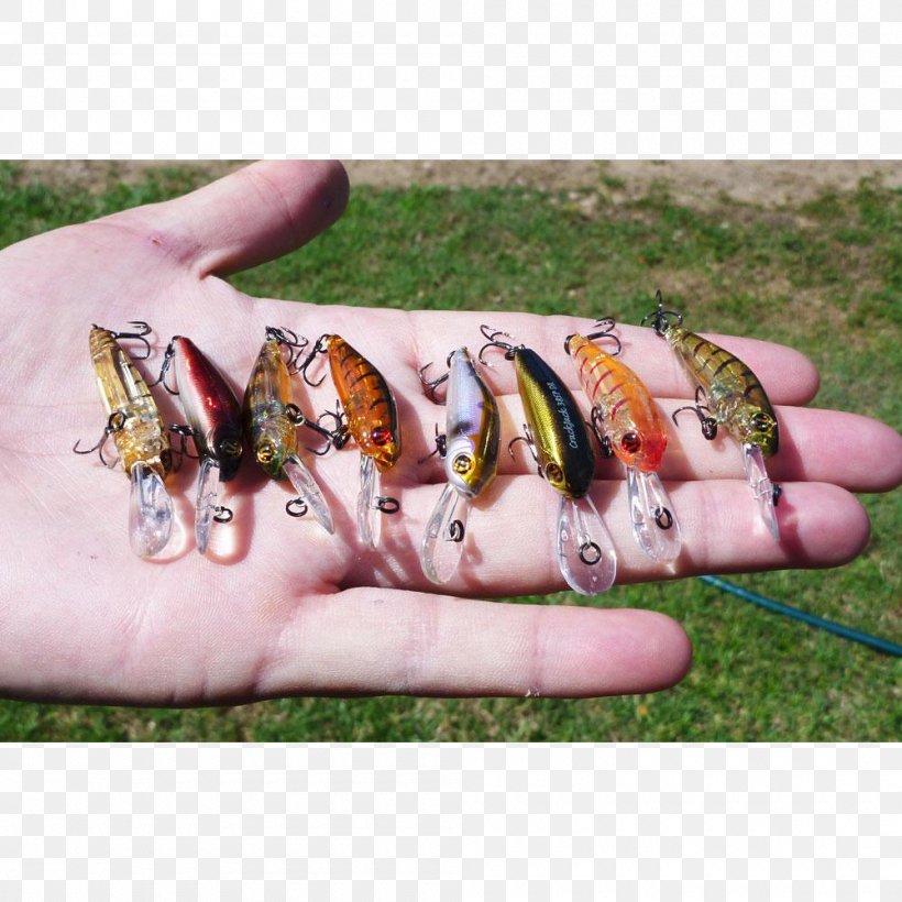 Trout Fishing Baits & Lures Сatcher Squalius Cephalus, PNG, 1000x1000px, Trout, Arm, Bait, Finger, Fishing Baits Lures Download Free