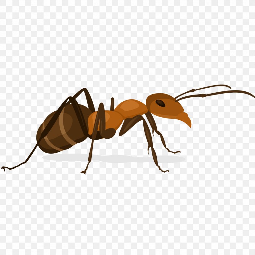 Ant Insect X-Faktor, PNG, 1500x1500px, Ant, Arthropod, Butterfly, Computer Graphics, Fly Download Free