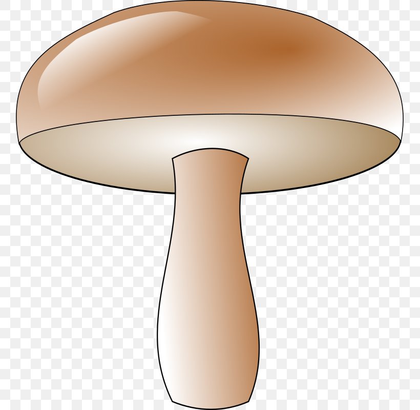 Common Mushroom Download Clip Art, PNG, 757x800px, Common Mushroom, Drawing, Edible Mushroom, Graphic Arts, Lighting Download Free