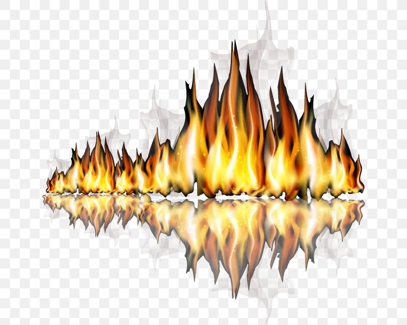 Cool Flame, PNG, 650x654px, Flame, Cool Flame, Fire, Gratis, Leaf Download Free