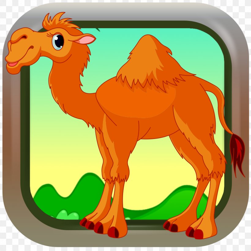 Dromedary Baby Gnome (game For Babies) Animal Vertebrate, PNG, 1024x1024px, Dromedary, Alphabet, Animal, Arabian Camel, Camel Download Free