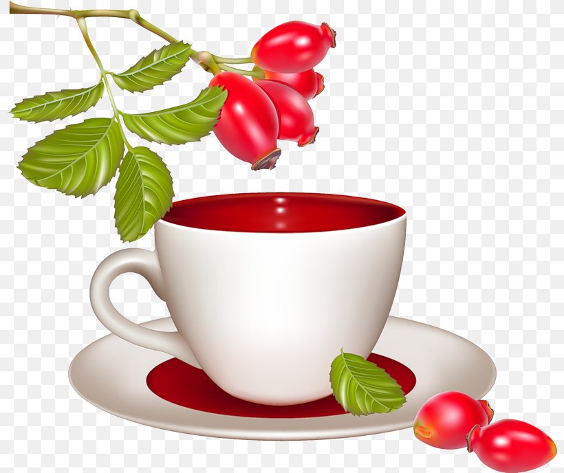 Green Tea Coffee Cafe Rose Hip, PNG, 800x688px, Tea, Berry, Black Tea, Cafe, Caffeine Download Free