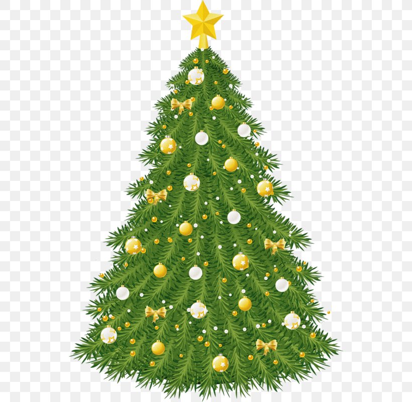 Clip Art Christmas Tree Christmas Day Christmas Ornament, PNG, 800x800px, Christmas Tree, Christmas, Christmas Day, Christmas Decoration, Christmas Gift Download Free