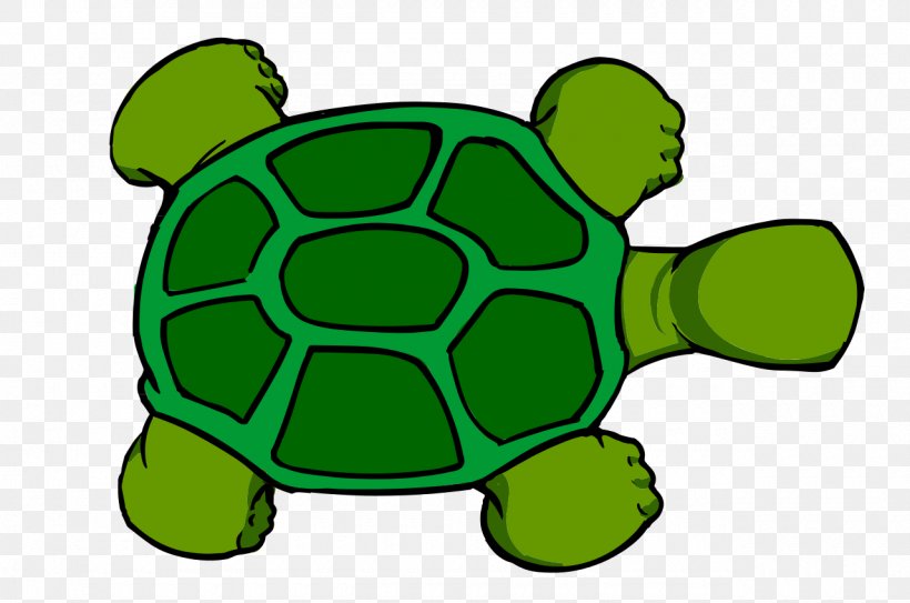 Sea Turtle Clip Art, PNG, 1280x848px, Turtle, Grass, Green, Green Sea Turtle, Organism Download Free