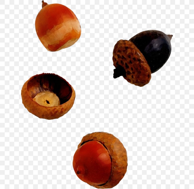 Acorn Chestnut Fruit Oak Leaf, PNG, 642x800px, Watercolor, Acorn, Chestnut, Food, Fruit Download Free