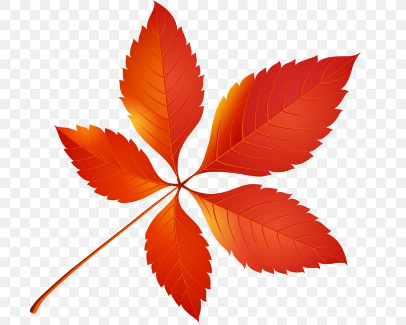 Autumn Leaf Color Clip Art, PNG, 700x657px, Autumn Leaf Color, Art, Autumn, Botanical Illustration, Flower Download Free