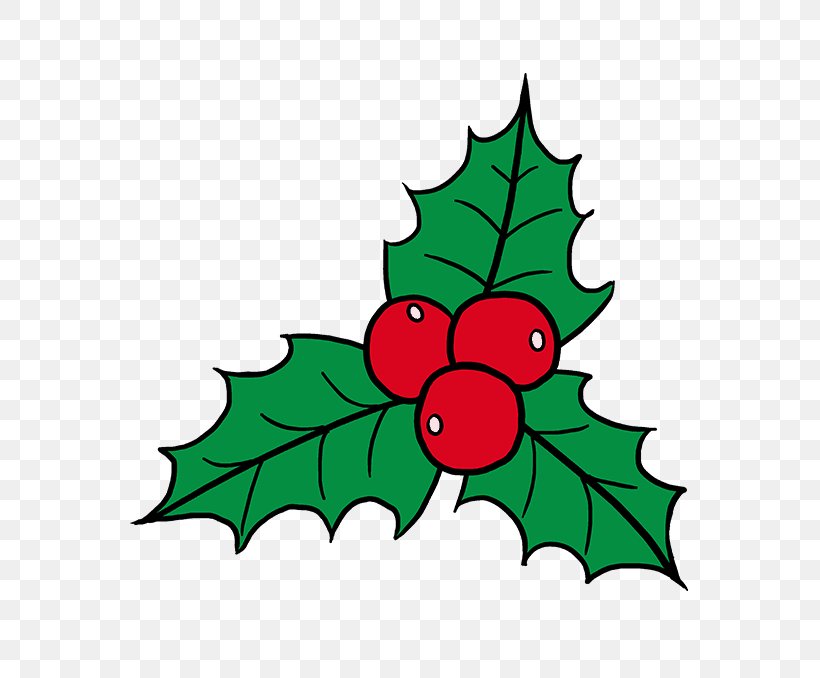 Clip Art Drawing Image Common Holly Christmas Day, PNG, 680x678px, Drawing, American Holly, Aquifoliales, Christmas Day, Colorado Spruce Download Free