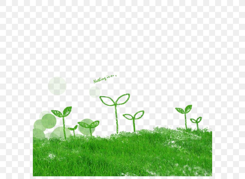 Computer File, PNG, 600x600px, Resource, Flower, Grass, Gratis, Green Download Free