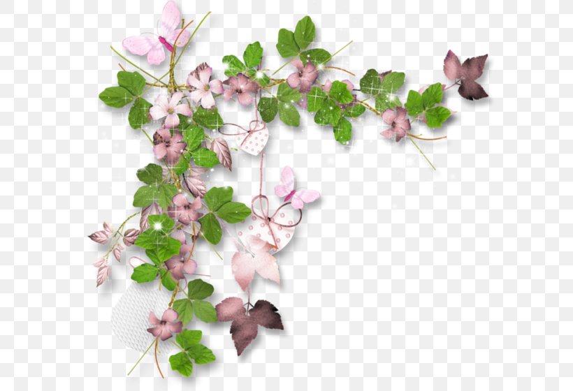 Picture Frames Flower Clip Art, PNG, 600x560px, Picture Frames, Blossom, Branch, Cherry Blossom, Floral Design Download Free