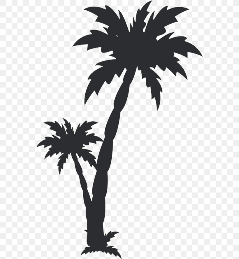 Arecaceae Clip Art, PNG, 572x888px, Arecaceae, Arecales, Art, Black And White, Branch Download Free
