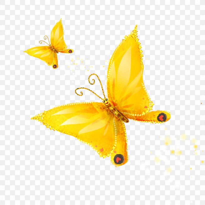 Butterfly Drawing Cartoon, PNG, 1181x1181px, Butterfly, Cartoon, Dessin Animxe9, Drawing, Insect Download Free