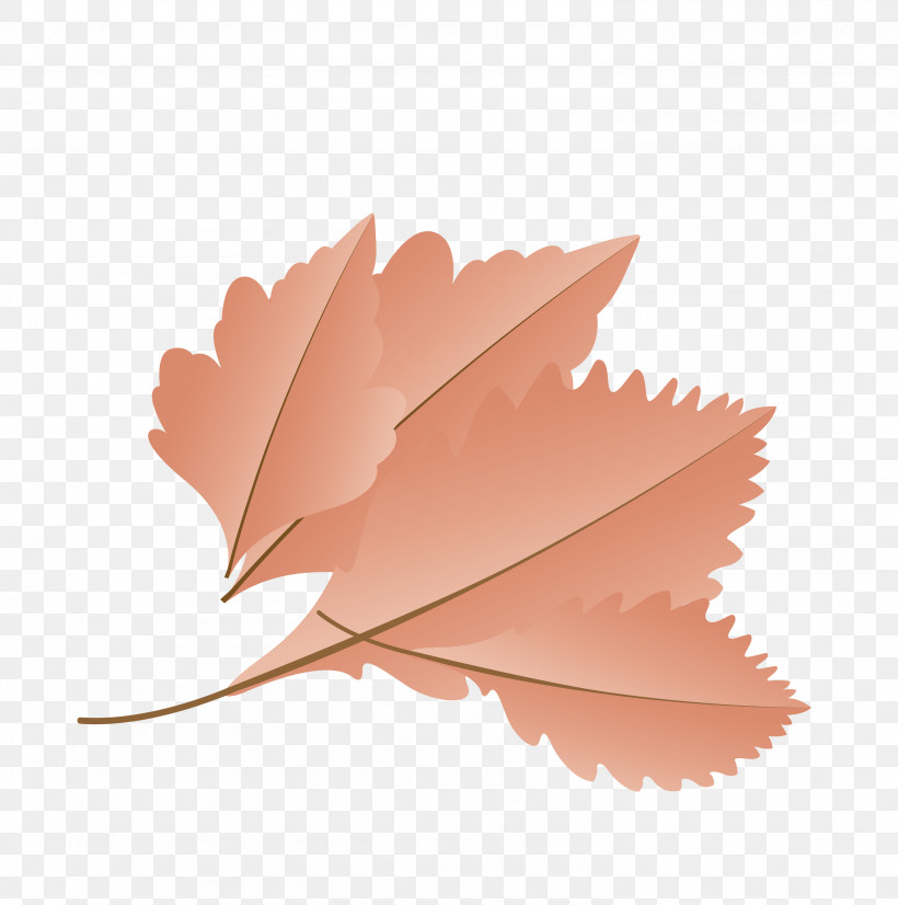 Maple Leaf, PNG, 2976x3000px, Autumn Leaf, Biology, Cartoon Leaf, Fall Leaf, Leaf Download Free
