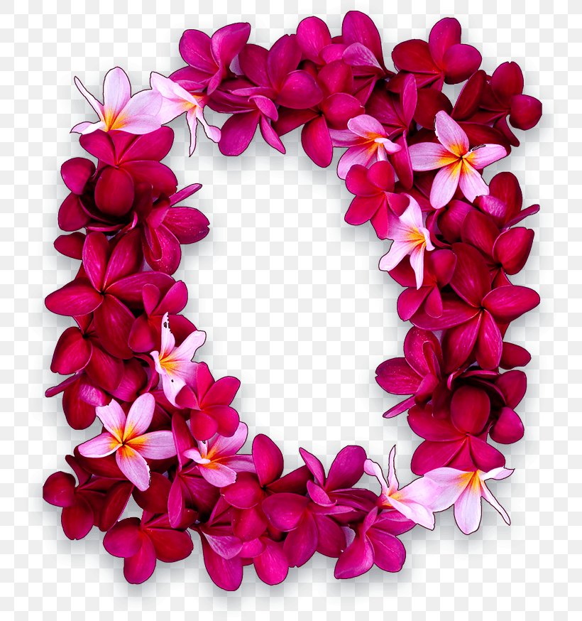 Maui Lei Day Hawaiian Puka Shell, PNG, 755x874px, Maui, Floral Design, Flower, Frangipani, Hawaii Download Free