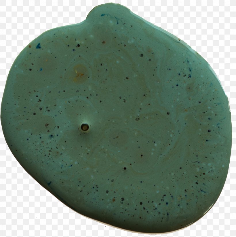 Turquoise Organism, PNG, 1441x1447px, Turquoise, Organism Download Free