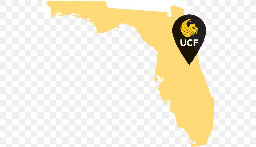 University Of Florida UCF College Of Community Innovation And Education Mathematical Sciences Building UCF College Of Sciences Florida State University, PNG, 551x471px, University Of Florida, Brand, Central Florida, College, Education Download Free