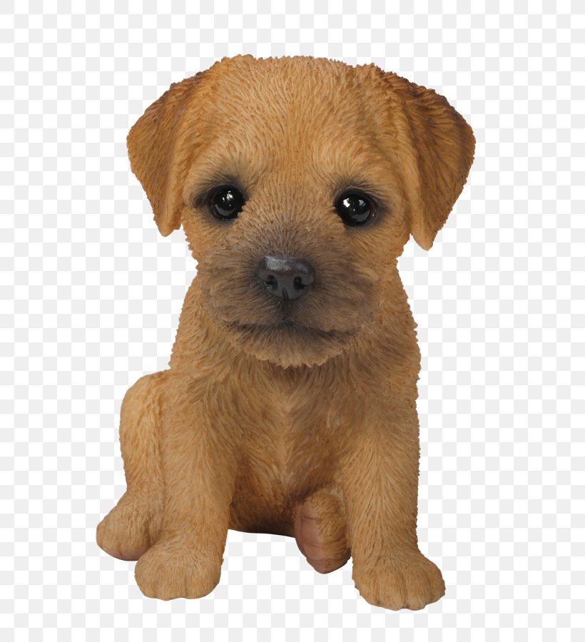 Border Terrier Puppy Yorkshire Terrier Airedale Terrier French Bulldog, PNG, 600x900px, Border Terrier, Airedale Terrier, Animal, Bichon Frise, Bulldog Download Free