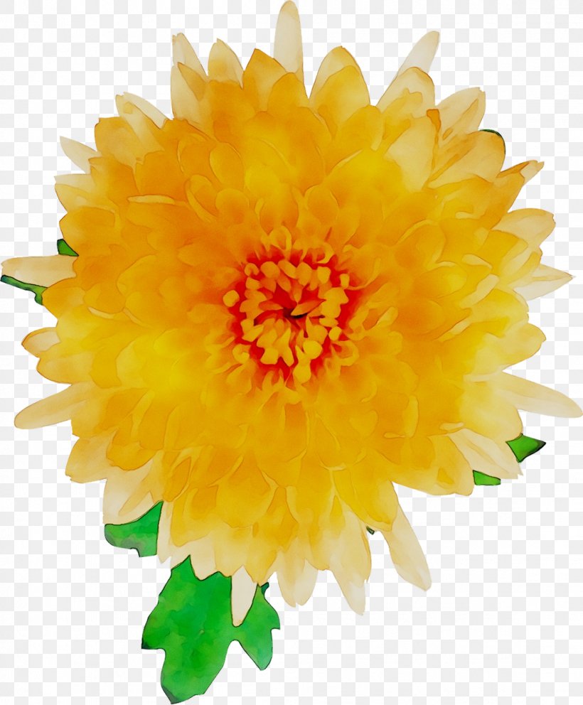 Clip Art Royalty-free Image Vector Graphics, PNG, 1149x1391px, Royaltyfree, Annual Plant, Artificial Flower, Calendula, Chrysanths Download Free