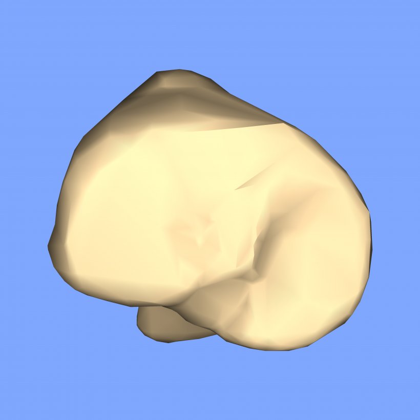 Nose, PNG, 4500x4500px, Nose, Bone, Ear, Jaw, Joint Download Free