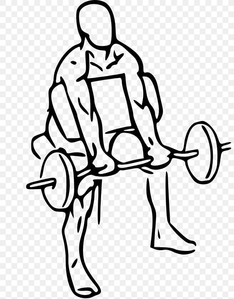 Biceps Curl Bench Barbell Physical Exercise, PNG, 800x1046px, Watercolor, Cartoon, Flower, Frame, Heart Download Free