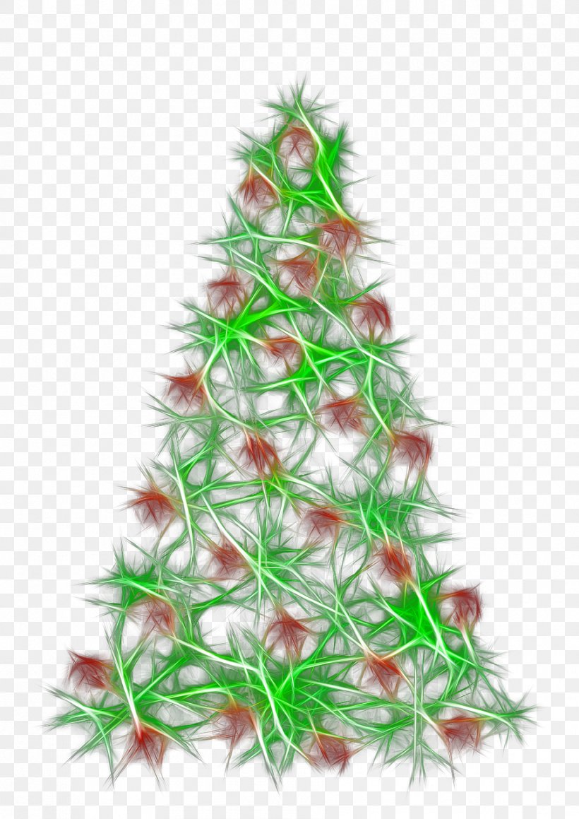 Christmas Tree Christmas Ornament Pine, PNG, 905x1280px, Christmas Tree, Abies Firma, Branch, Christmas, Christmas Decoration Download Free