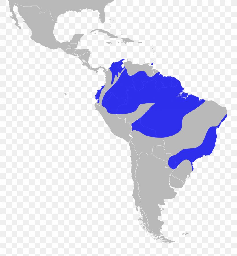 South America Latin American Wars Of Independence United States Of America Subregion, PNG, 1110x1200px, South America, Americas, Electric Blue, Geography, Latin America Download Free