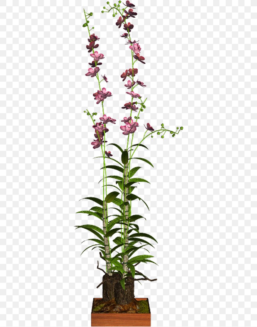 Dendrobium Houseplant Flowerpot 12 June Shrub, PNG, 352x1041px, Dendrobium, Flower, Flowering Plant, Flowerpot, Home Download Free