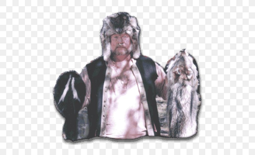 Fur Clothing Wolverine Bear Raccoon, PNG, 500x500px, Fur, Badger, Bear, Bobcat, Coyote Download Free