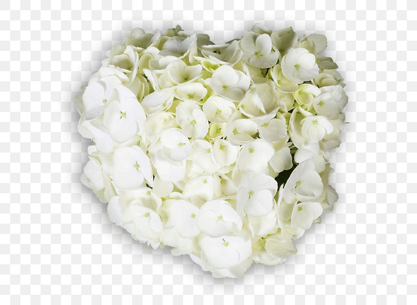 Hydrangea Floral Design Cut Flowers Flower Bouquet, PNG, 600x600px, Hydrangea, Cornales, Cut Flowers, Floral Design, Floristry Download Free